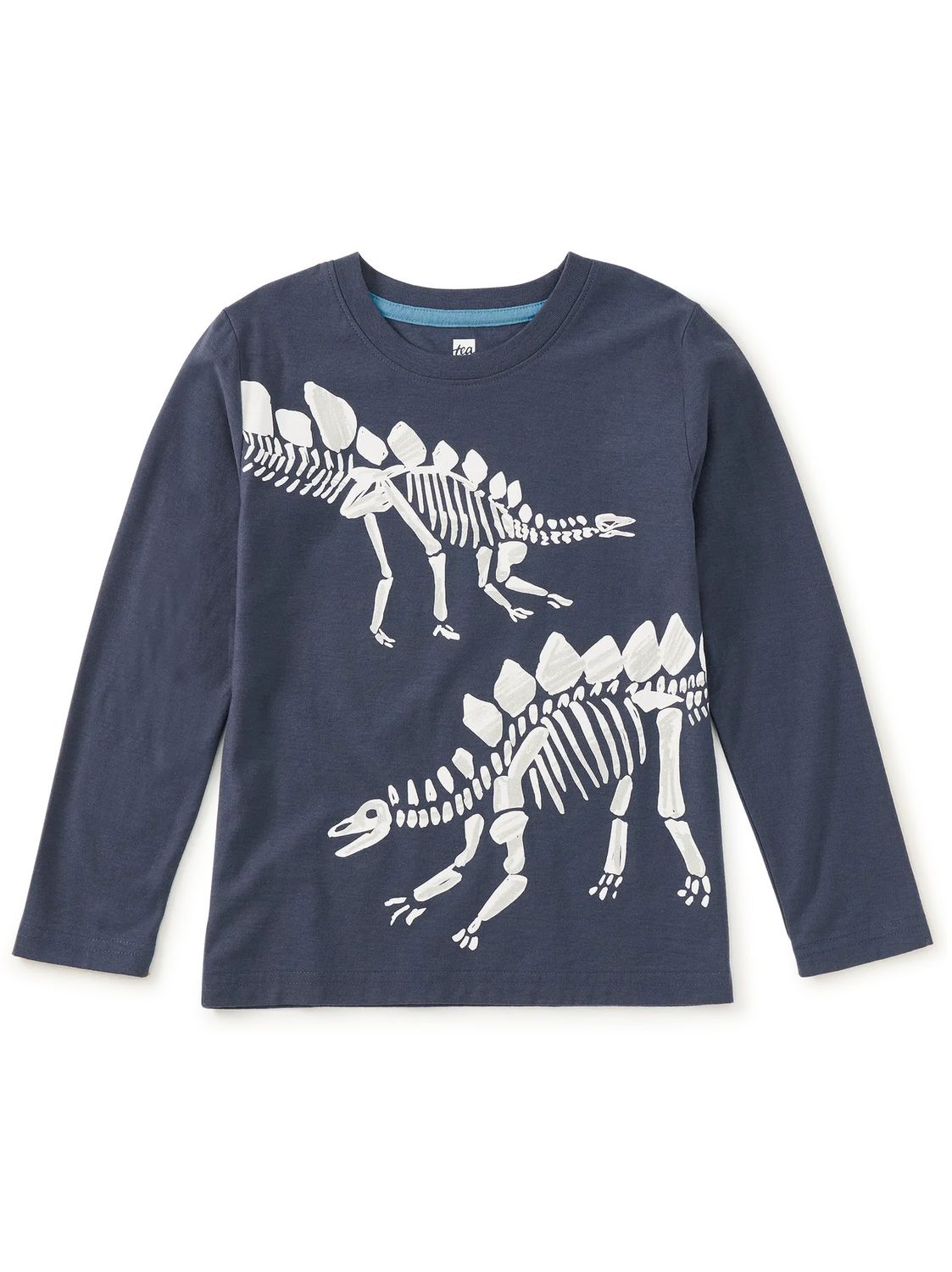 Fossil Stegosaurus Graphic Tee