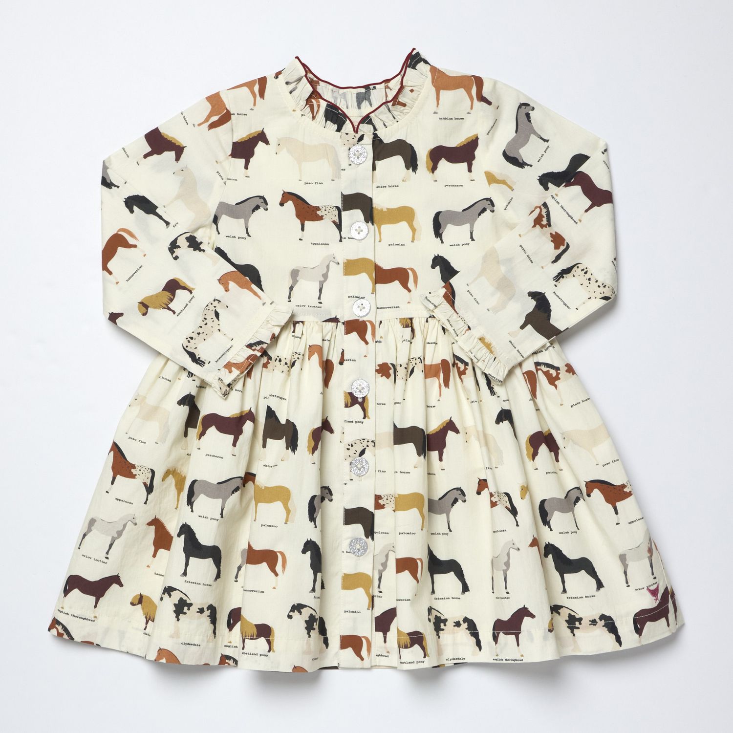 Autumn Dress Horse Breeds