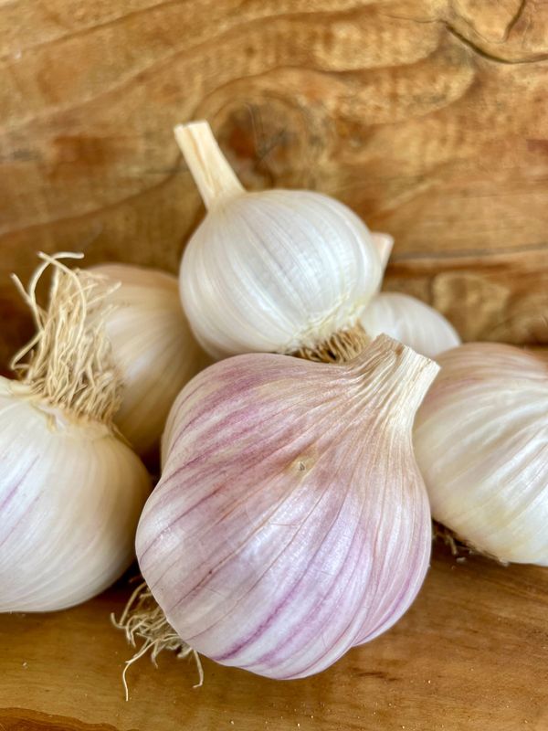 Metechi Organic Garlic