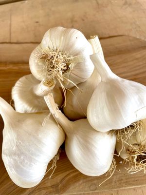 Inchelium Red Garlic