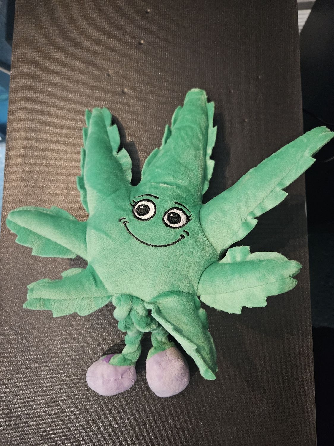 Dog Toy - Leaf Large