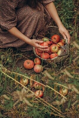 AUTUNNO