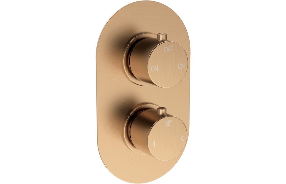 Austin Thermostatic Two Outlet Twin Shower Valve - Brushed Bronze