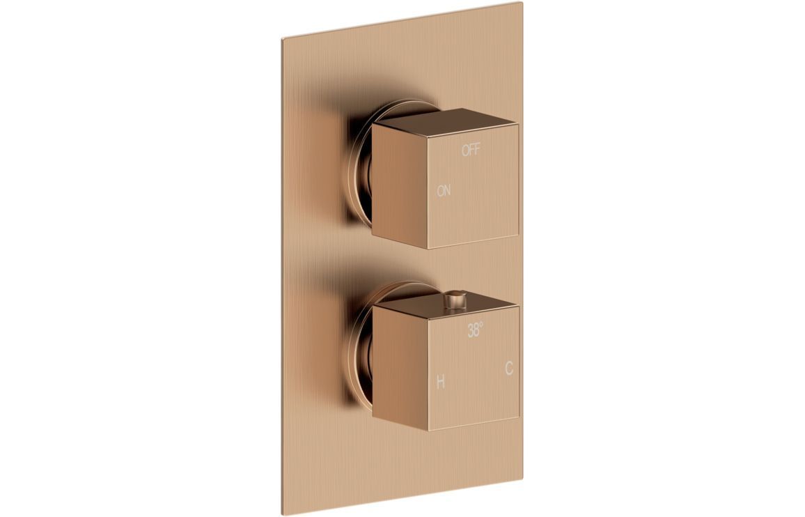 Corey Thermostatic Single Outlet Twin Shower Valve - Brushed Bronze