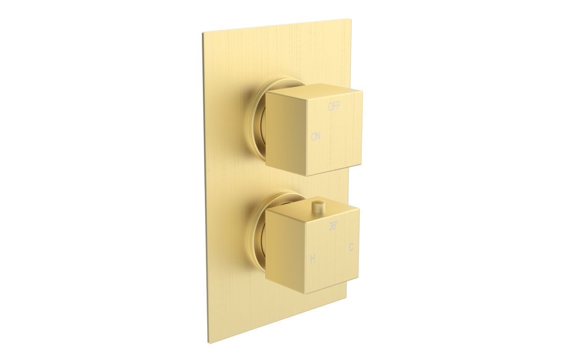Corey Thermostatic Single Outlet Twin Shower Valve - Brushed Brass