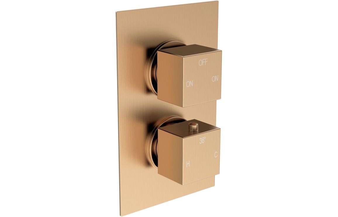 Corey Thermostatic Two Outlet Twin Shower Valve - Brushed Bronze