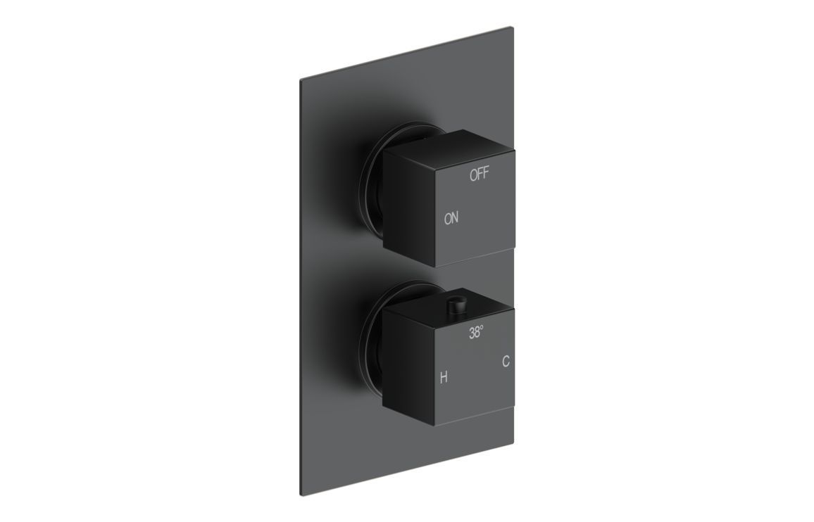 Corey Thermostatic Single Outlet Twin Shower Valve - Matt Black