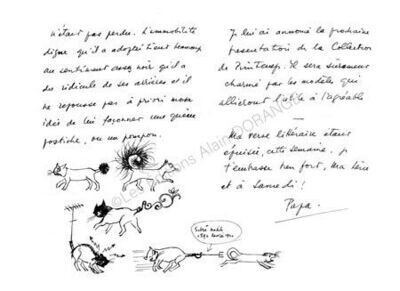 Histoire de chats