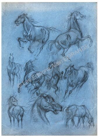 Etude chevaux