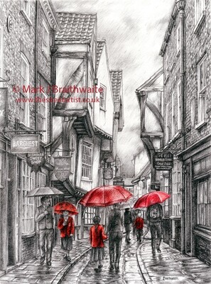 TOR1: Shambles Showers, York Print (size options available)