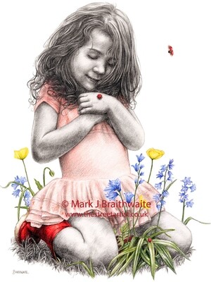 RB43, Fly Away Home. Print (size options available) ORIGINAL AVAILABLE