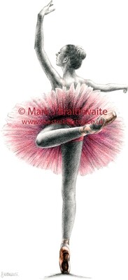PK5: Pink Study 5. Print (size options available) ORIGINAL AVAILABLE
