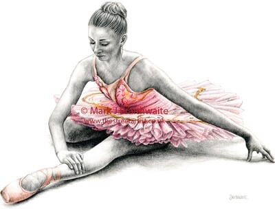 PK9: Pink Study 9. Print (size options available) ORIGINAL AVAILABLE