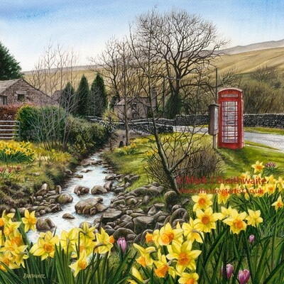 A Host of Golden Daffodils, Lost Connection Series.  Mounted Limited Edition Prints Available
