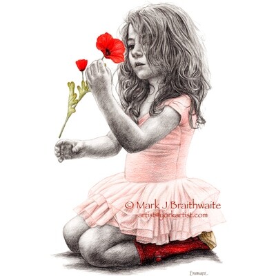 Rosebud Series