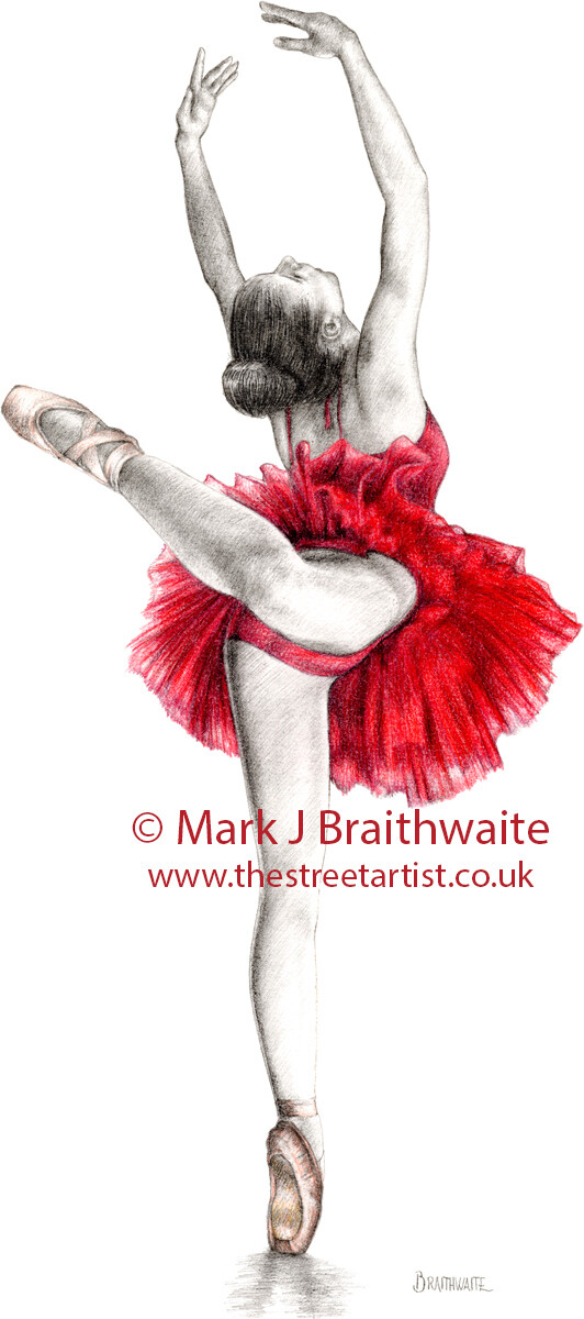 RS3: Raspberry Study 3. Print (size options available) ORIGINAL AVAILABLE