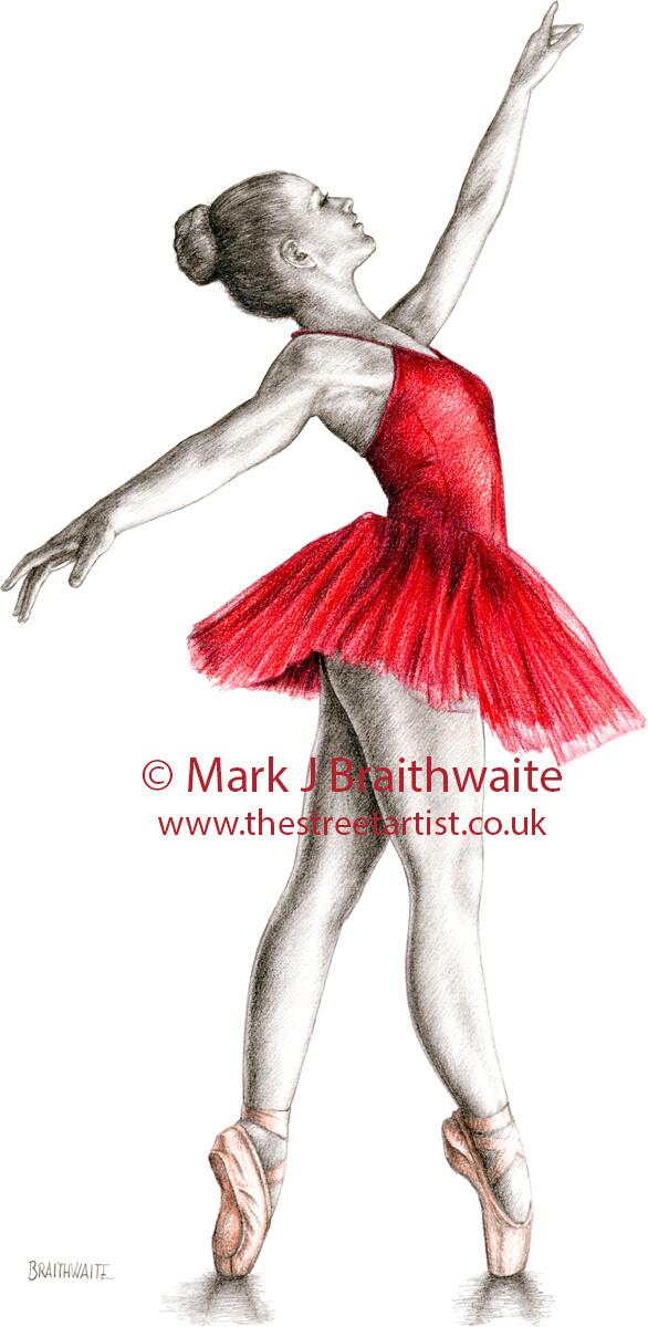 RS2: Raspberry Study 2. Print (size options available) ORIGINAL AVAILABLE