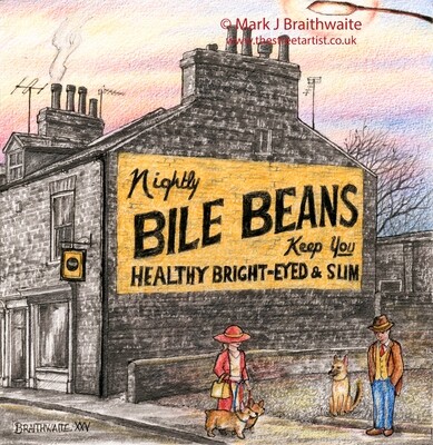 BT25: Bright Eyed &amp; Bushy Tailed Lord Mayors Walk, York. Print (size options) &amp; ORIGINAL Available