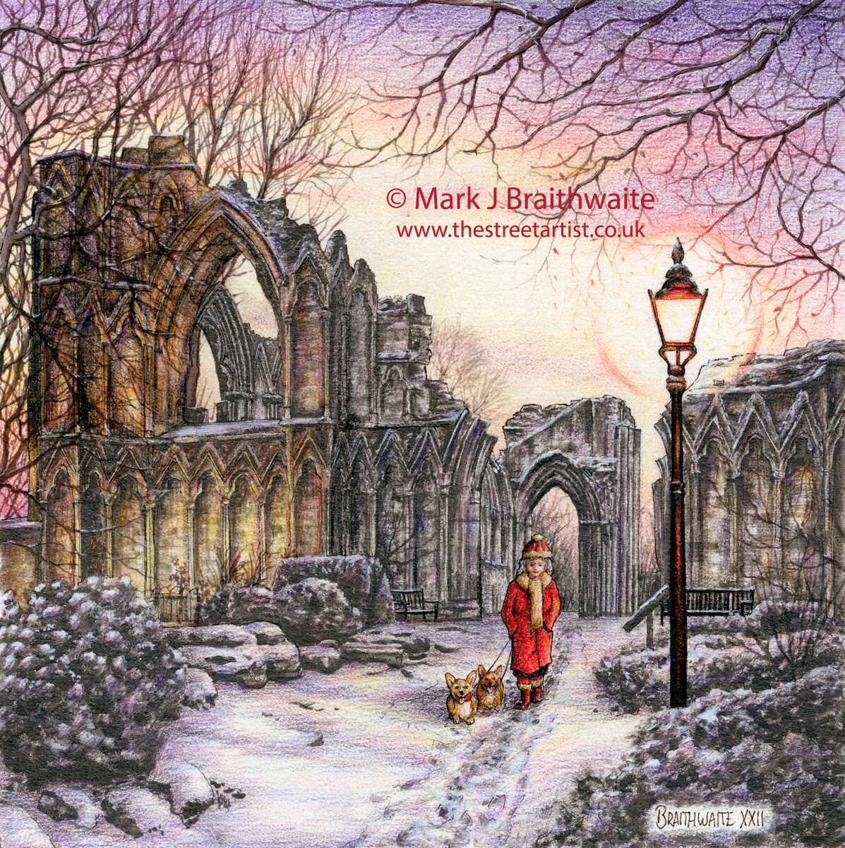 BT22: Winter Wonderland, St. Mary's Abbey, Museum Gardens, York. Print (size options) Available