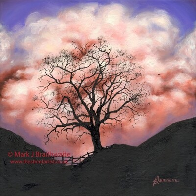 CS47: Marshmallow Skies, Oak Tree on the Moors, North Yorks Moors. Country Shadows Series.  Print (size options) Available