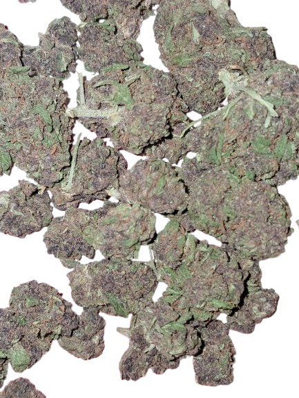 Saphir Kush Small/L'Herbe en Provence