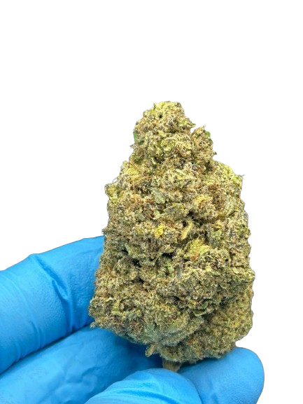 Northern Light hydro