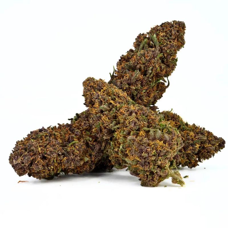 LEGENDARY PLATINUM OG FR/ VAUCLUSE VERDE