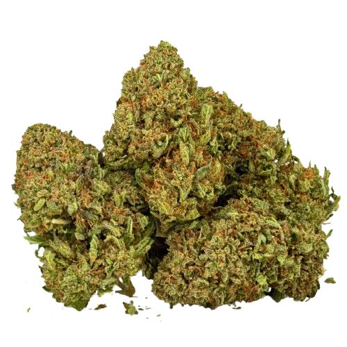 LEMON MACARON FR / VAUCLUSE VERDE