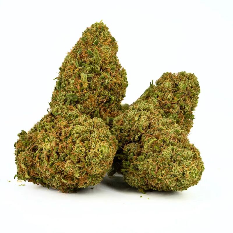 Sour Space Candy Small / Vaucluse Verde