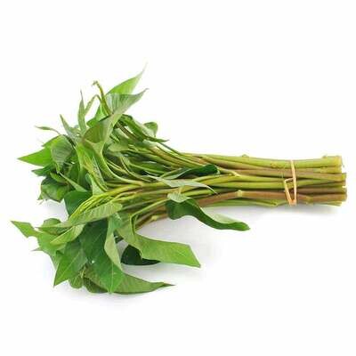 Kangkong