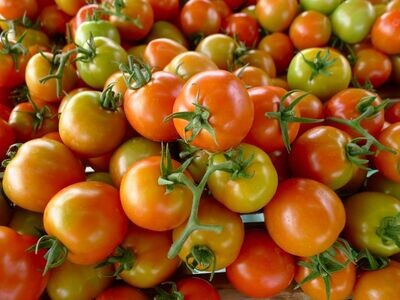 Tomato (local)