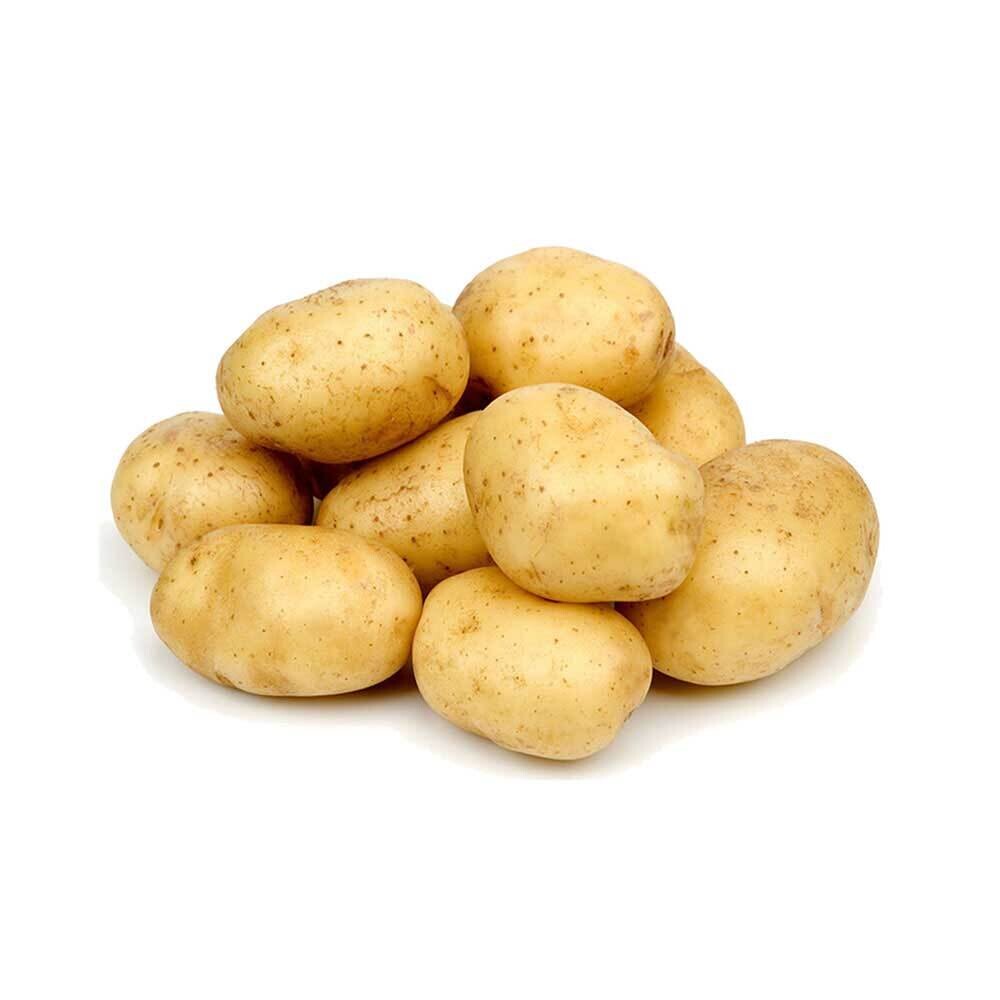 Potato (Medium-Large)