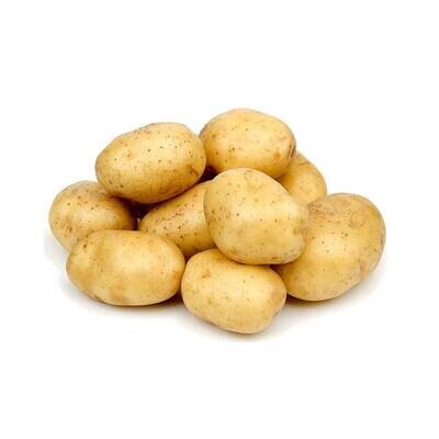 Potato (Medium-Large)