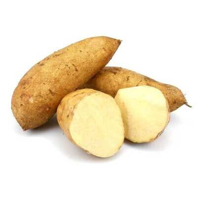 Sweet Potato (White)