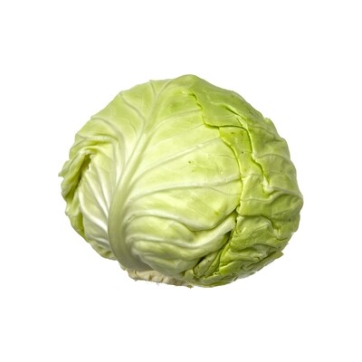 Cabbage