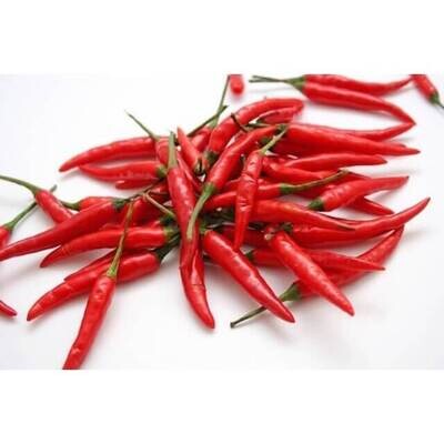 Siling Labuyo (Red)