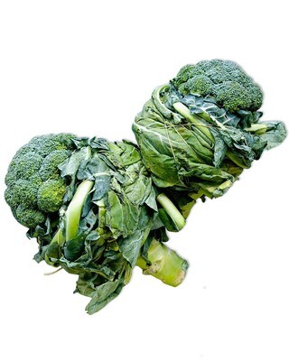 Brocolli (untrimmed)
