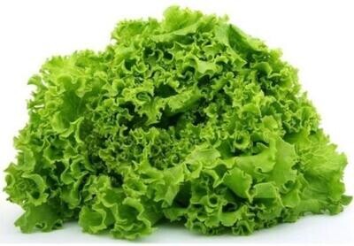 Lettuce (Romaine)