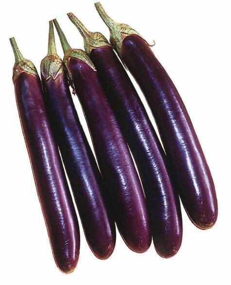 Eggplant (Long Purple)