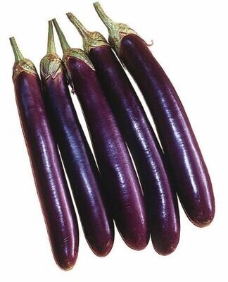 Eggplant (Long Purple)