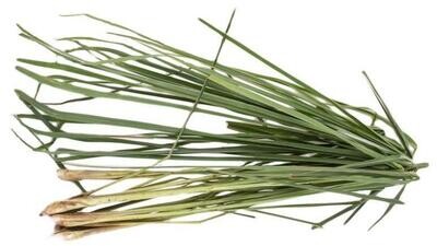 Tanglad (Lemongrass)