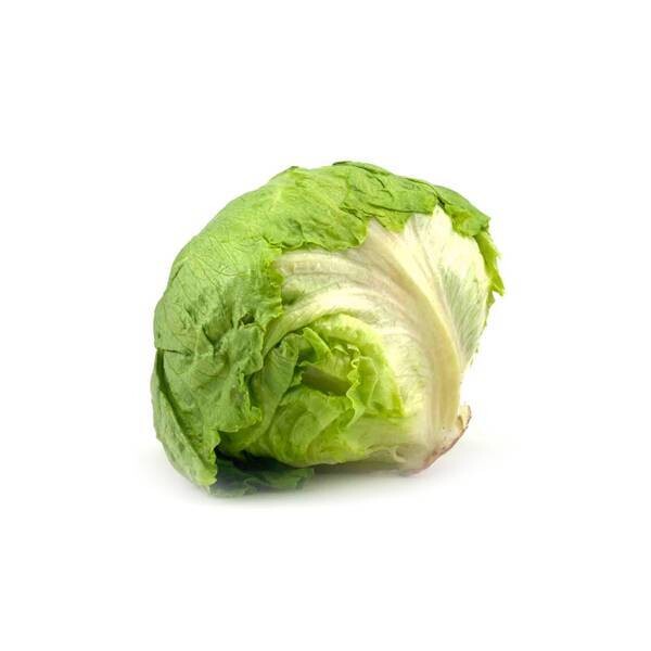 Lettuce (Green Ice)