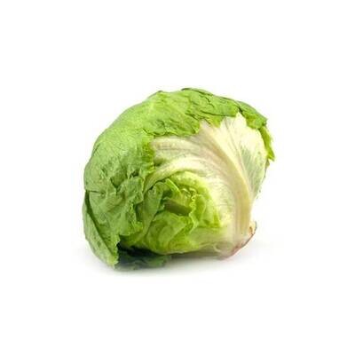 Lettuce (Green Ice)