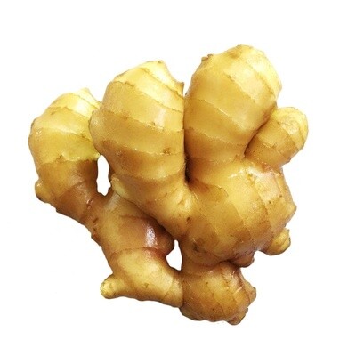 Ginger (Small)