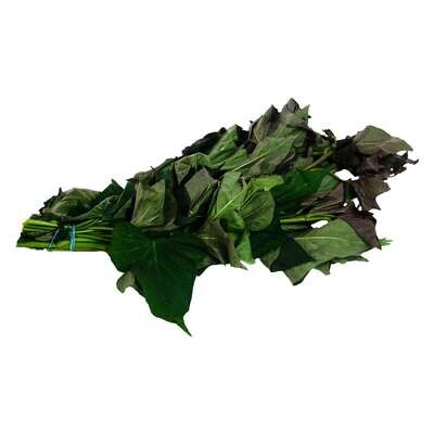 Talbos ng Kamote (Green)