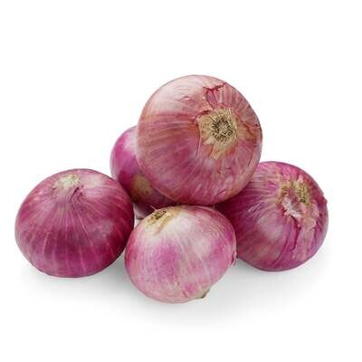 Onion (Red, small)