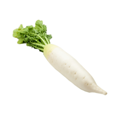 Radish (Labanos)