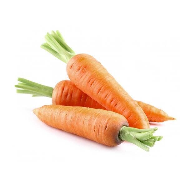 Carrot