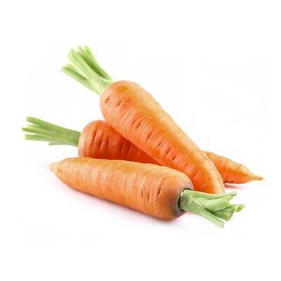 Carrot