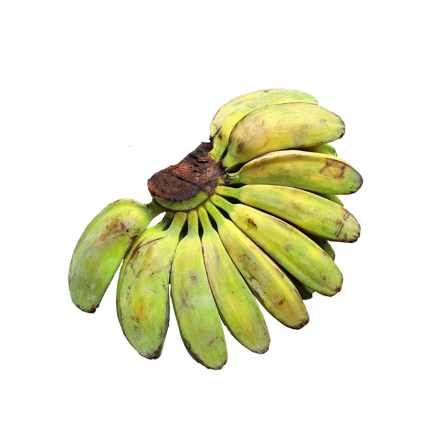 Banana (Saba)